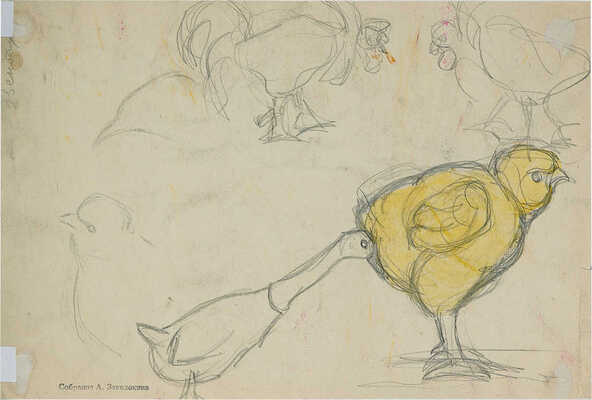 Эвенбах Евгения Константиновна.  Уточки (на оборотной стороне наброски)